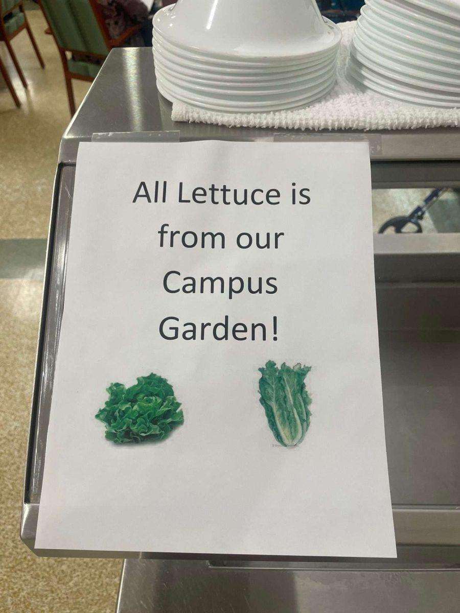 Local Salad Program Sign Growing Nutrition: Gifts from the Nazareth Kitchen Garden - Sisters of ...