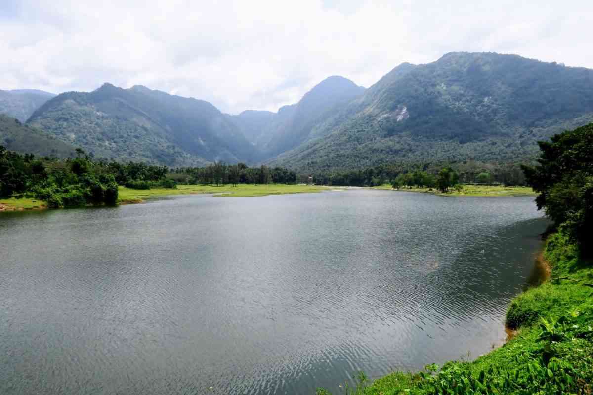 Renewal in Wayanad